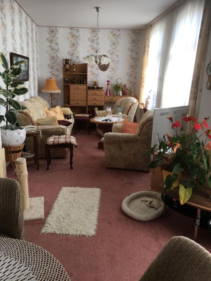 Ferienwohnung Bunte Stadt An Der Elde Grabow  Εξωτερικό φωτογραφία